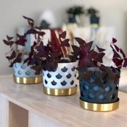 Klong Trio Bloempot Drop, Klein Ø12 Cm 9 Klong Trio Bloempot Drop, Klein Ø12 Cm -Woondecoratie Winkel 40760 01 04 e0805774df