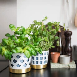 Klong Trio Bloempot Drop, Klein Ø12 Cm 10 Klong Trio Bloempot Drop, Klein Ø12 Cm -Woondecoratie Winkel 40760 01 06 380f856faf