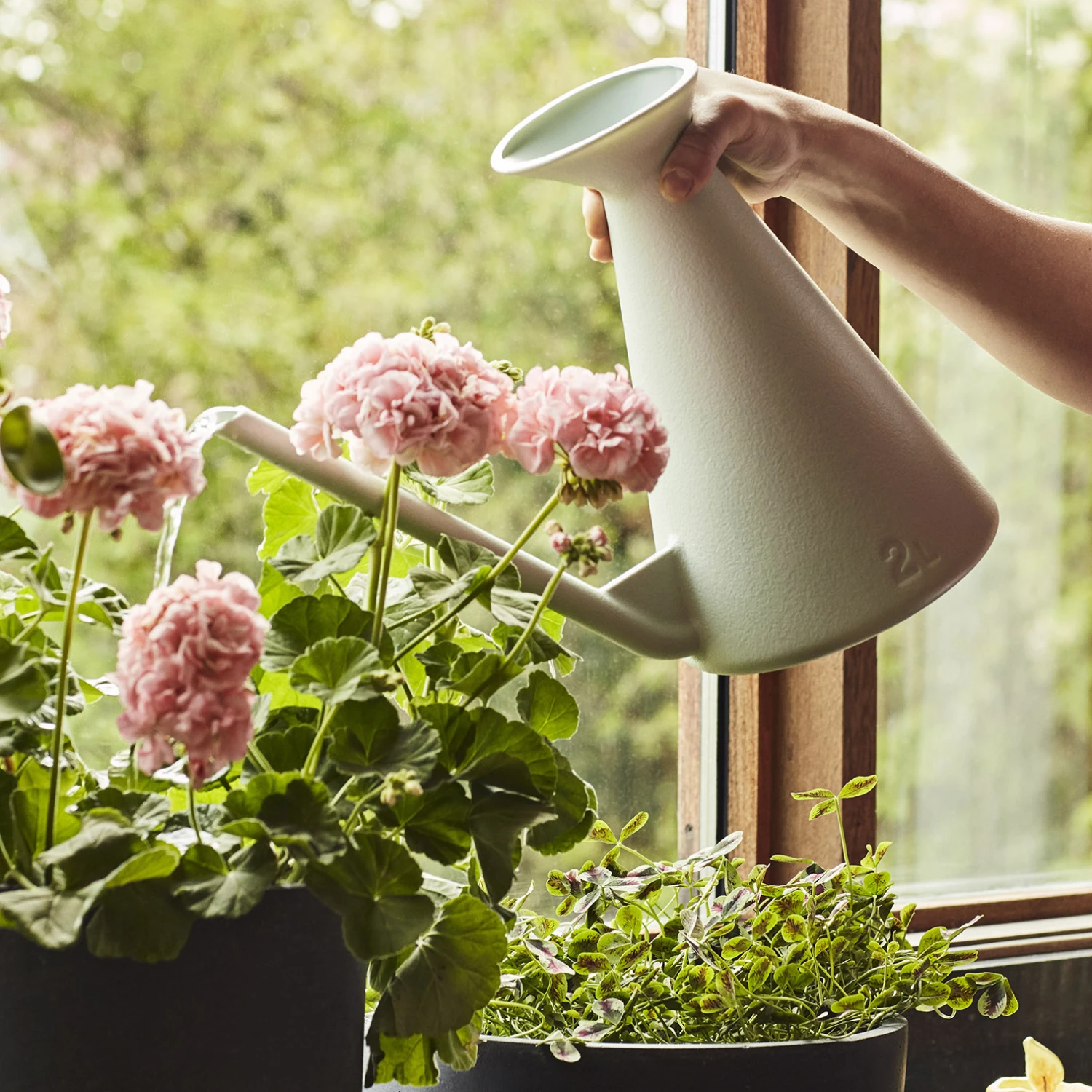 Hay Watering Can Waterkan 2 L 3 Hay Watering Can Waterkan 2 L - Afbeelding 2