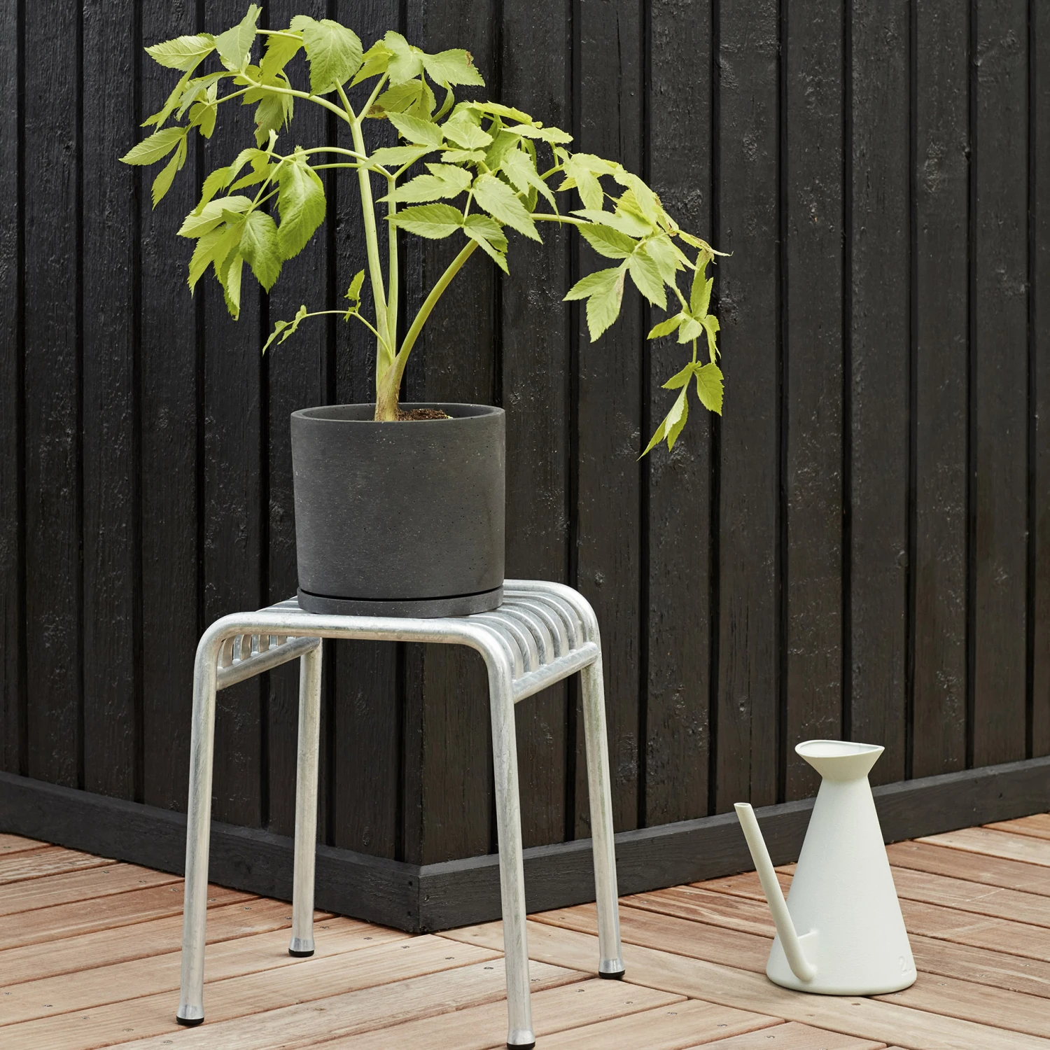 Hay Watering Can Waterkan 2 L 5 Hay Watering Can Waterkan 2 L - Afbeelding 4