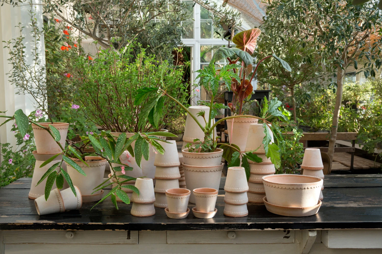 Bergs Potter Helena Pot Ø25 Cm 5 Bergs Potter Helena Pot Ø25 Cm - Afbeelding 3