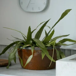 House Doctor Whai Pot Ø37 Cm -Woondecoratie Winkel 500204 01 3 EnvironmentImage 4ce9877706