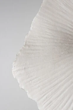 Globen Lighting Tropez Plafonnière/wandlamp Ø80 Cm 8 Globen Lighting Tropez Plafonnière/wandlamp Ø80 Cm -Woondecoratie Winkel 502537 01 2 ProductImageDetail b1ed77340b