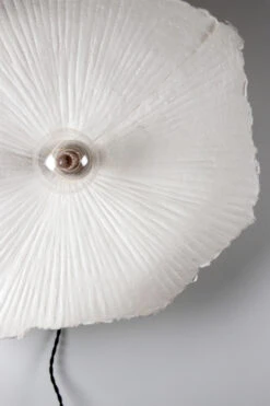 Globen Lighting Tropez Plafonnière/wandlamp Ø80 Cm 9 Globen Lighting Tropez Plafonnière/wandlamp Ø80 Cm -Woondecoratie Winkel 502537 01 3 ProductImageDetail b5f129ba58