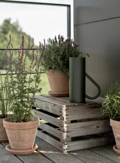 Stelton Bloom Waterkan 2 Liter 7 Stelton Bloom Waterkan 2 Liter -Woondecoratie Winkel 510495 01 3 EnvironmentImage 76460214b9