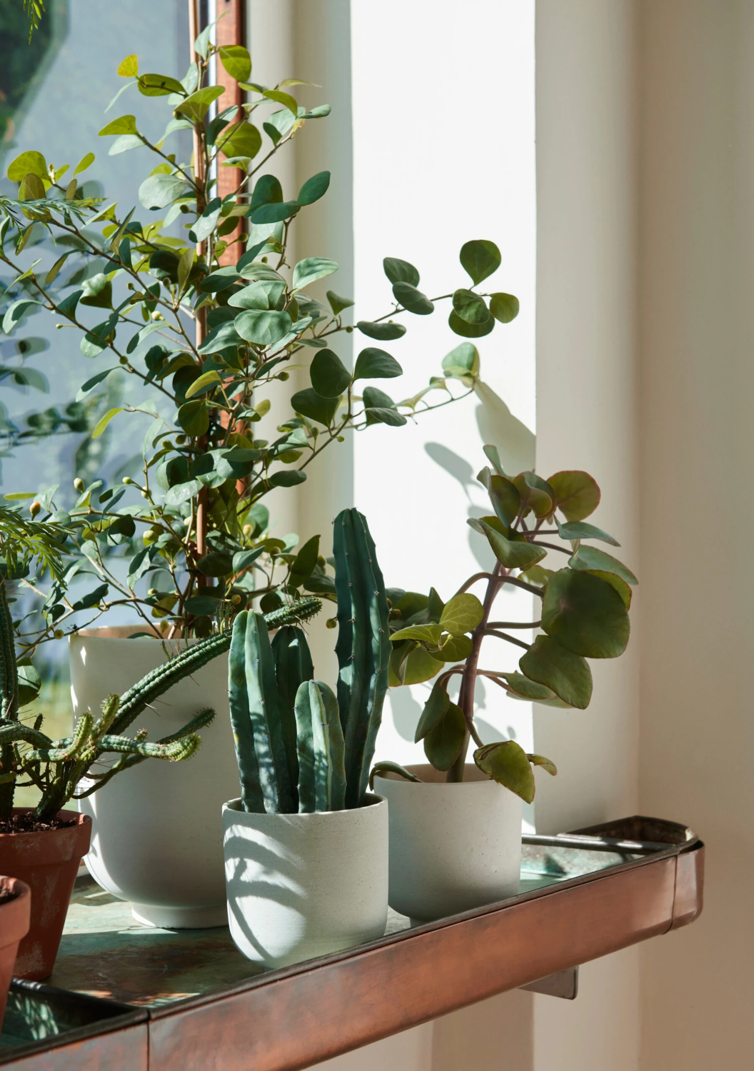 &Tradition Collect SC72 Bloempot Tall Ø20 Cm 4 &Tradition Collect SC72 Bloempot Tall Ø20 Cm - Afbeelding 2