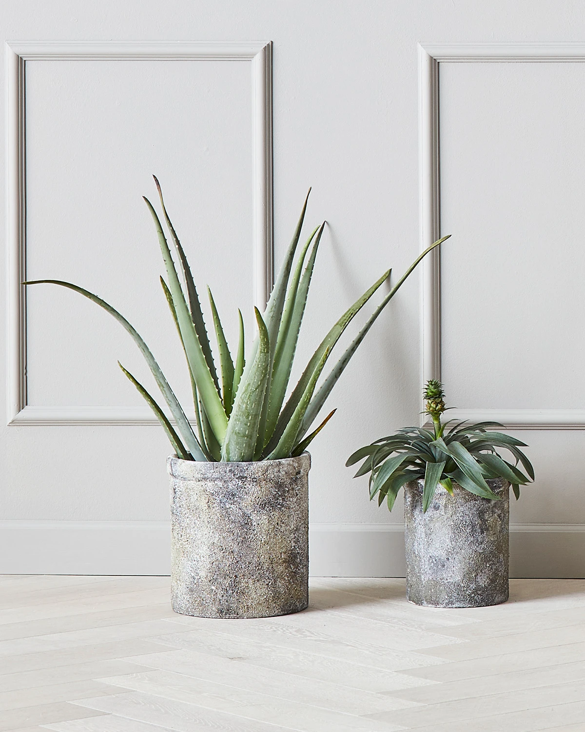 Muubs Treasure Bloempot Set Van 2 4 Muubs Treasure Bloempot Set Van 2 - Afbeelding 2