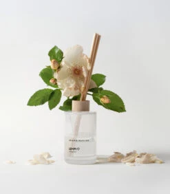 Skandinavisk Lempi Geurstokjes 13 Skandinavisk Lempi Geurstokjes -Woondecoratie Winkel 582182 01 42 EnvironmentImage 2ff488f7bc